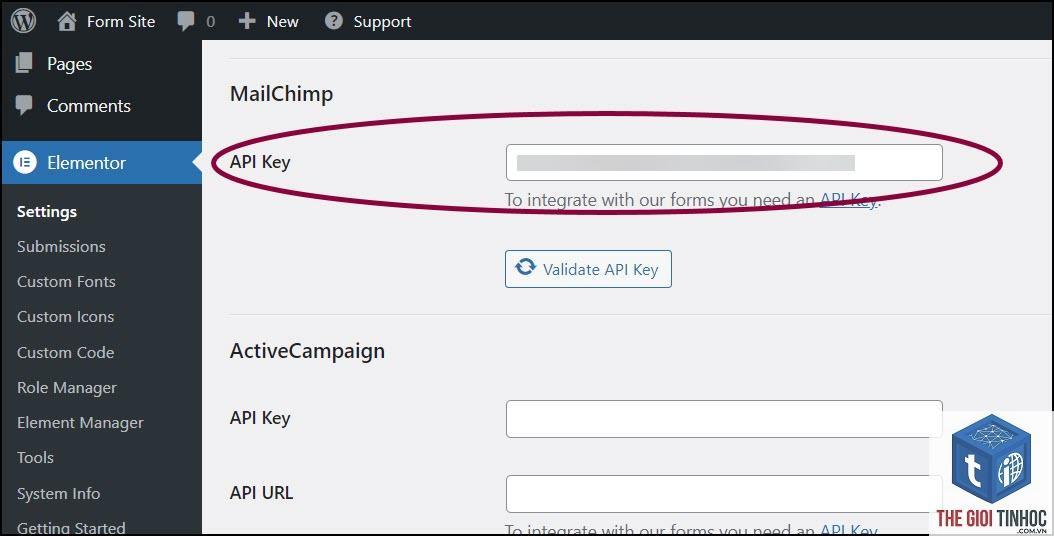 elementor xung đột mailchimp - Hình 5