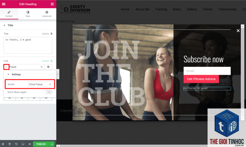 email popup elementor - Hình 5