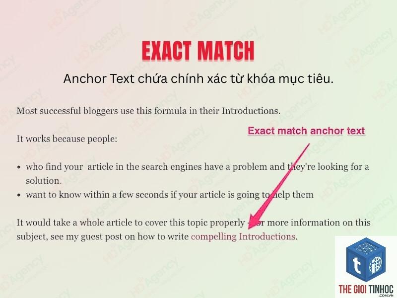 exact match anchor là gì - Hình 3