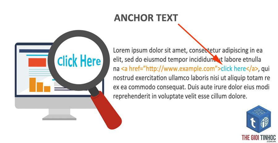 exact match anchor là gì - Hình 1
