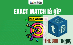 exact match keyword là gì