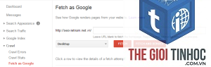 fetch as google là gì