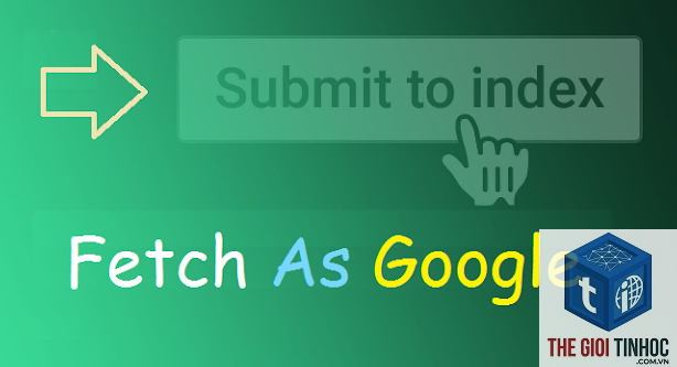 fetch as google là gì - Hình 2