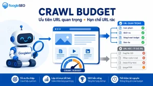 google crawl budget là gì trong gsc