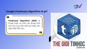 google freshness là gì