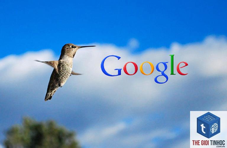 google hummingbird là gì - Hình 2