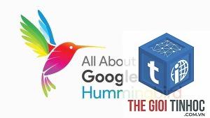 google hummingbird là gì