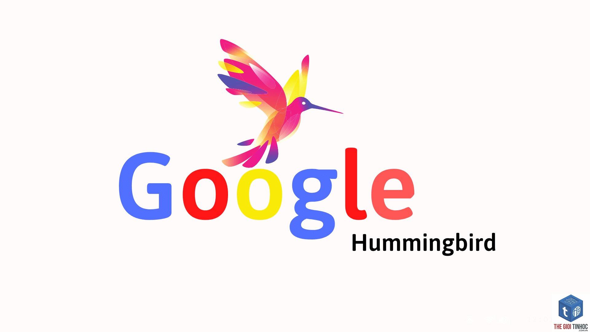 google hummingbird là gì - Hình 4