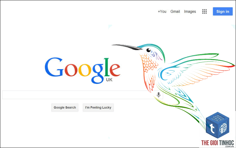 google hummingbird là gì - Hình 5