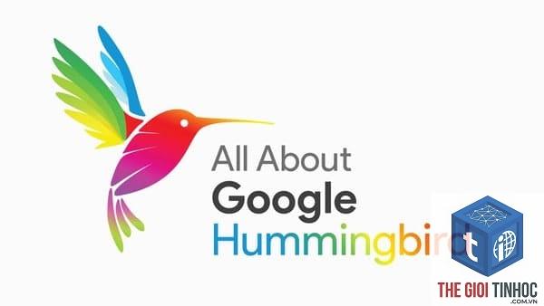 google hummingbird là gì