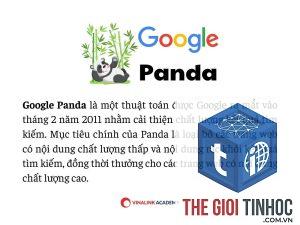 google panda là gì