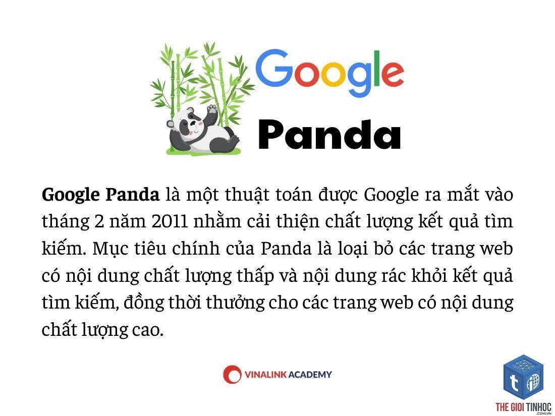 google panda là gì - Hình 1