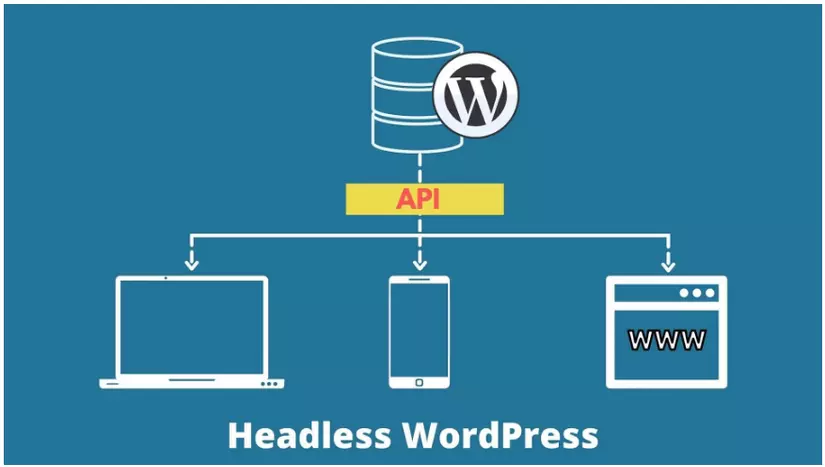 headless wordpress là gì