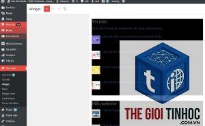hiển thị widget wordpress
