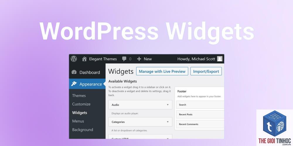 hiển thị widget wordpress - Hình 5