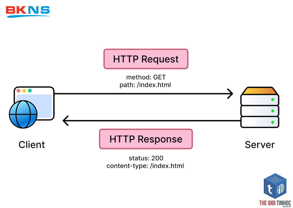 https request wordpress là gì - Hình 4