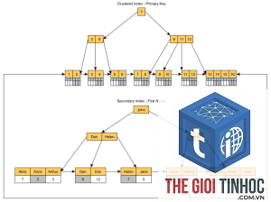 index status report là gì