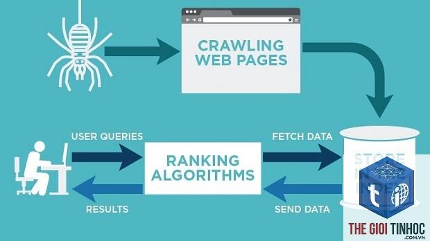 indexing page là gì - Hình 3