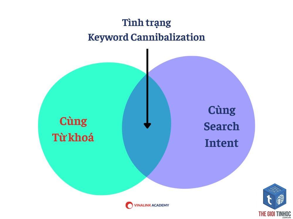 keyword cannibalization là gì