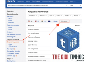 keyword cannibalization trong ahrefs là gì