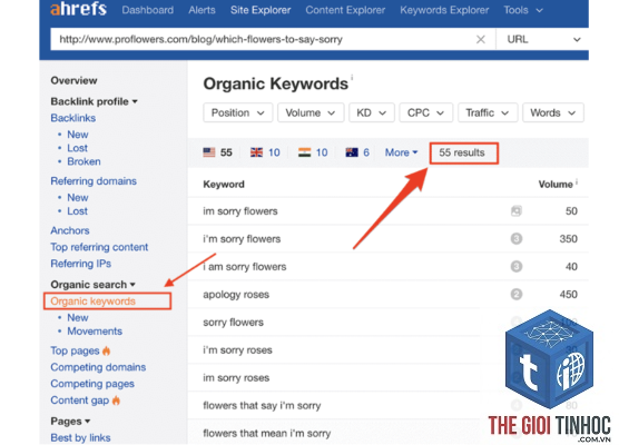 keyword cannibalization trong ahrefs là gì