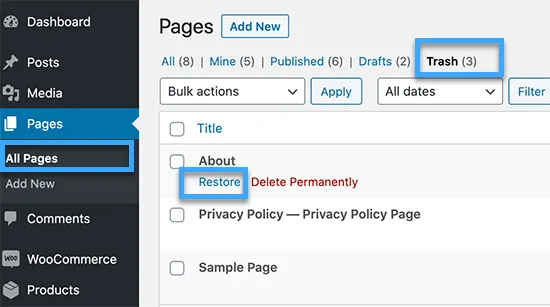 khôi phục bài viết wordpress - Hình 4