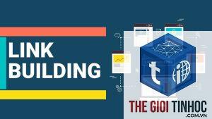 link building report là gì