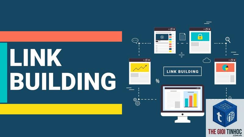 link building report là gì