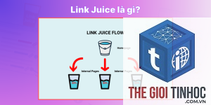 link juice là gì