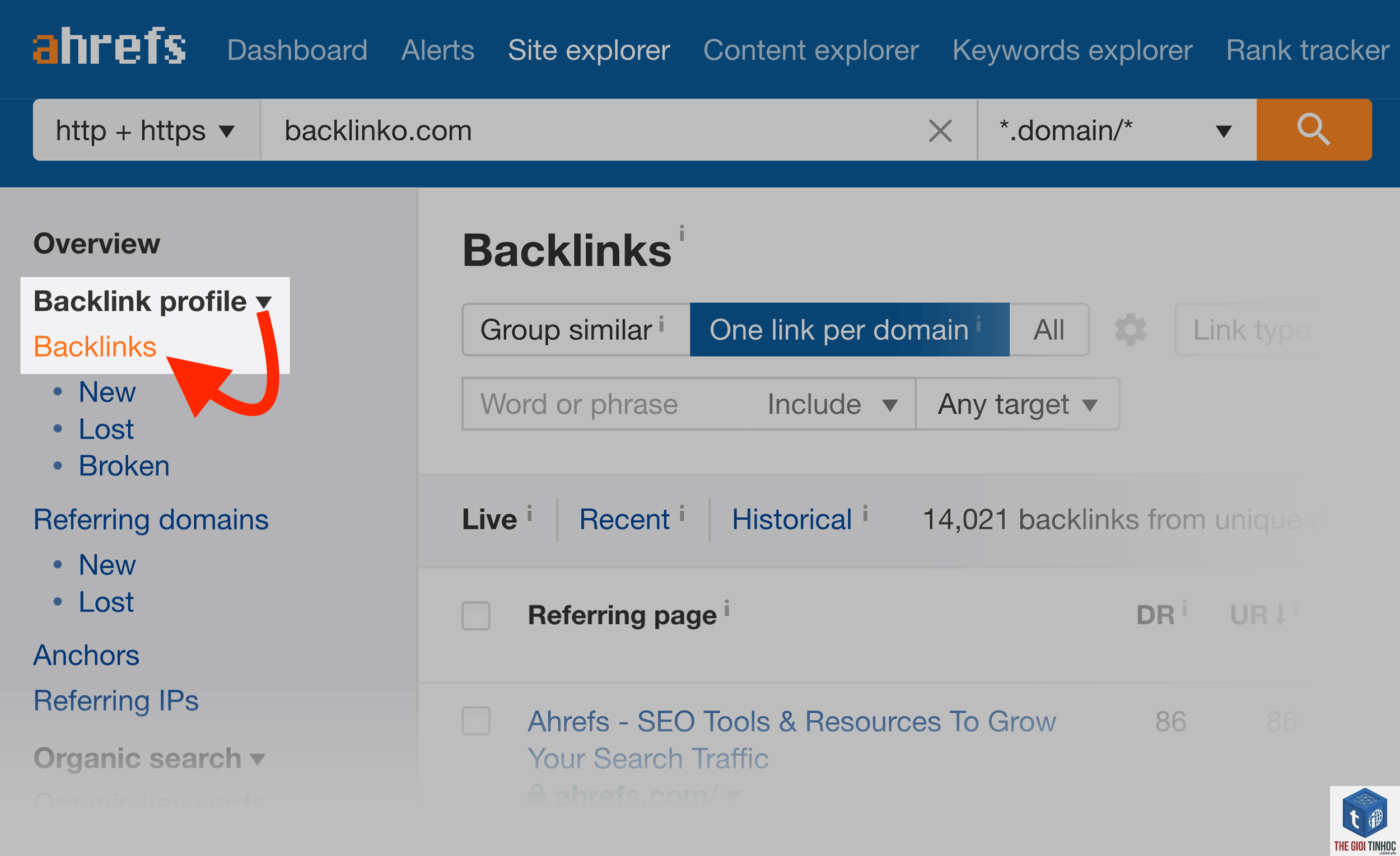 link profile trong ahrefs là gì - Hình 4