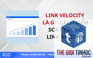 link velocity trong ahrefs là gì