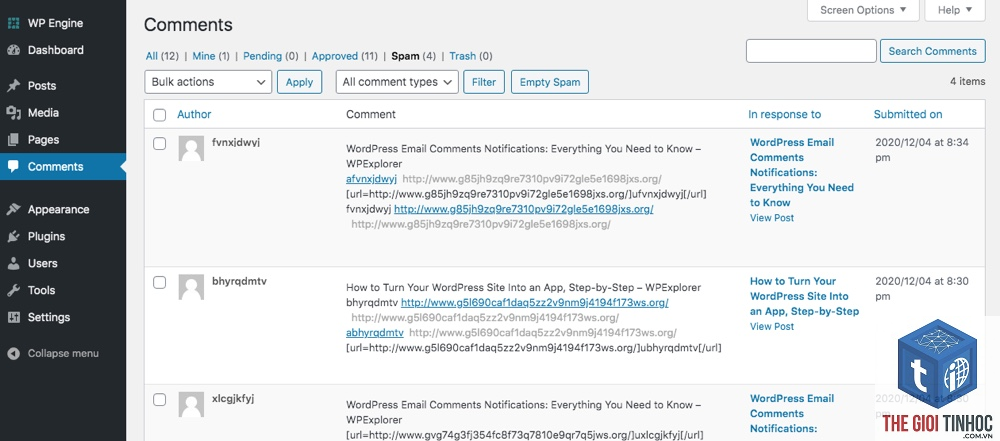 lọc bình luận spam wordpress - Hình 4