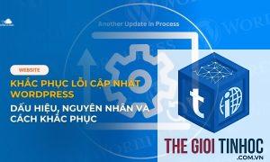 lỗi cập nhật plugin wordpress