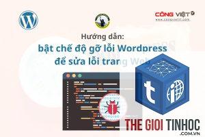 lỗi gỡ plugin wordpress