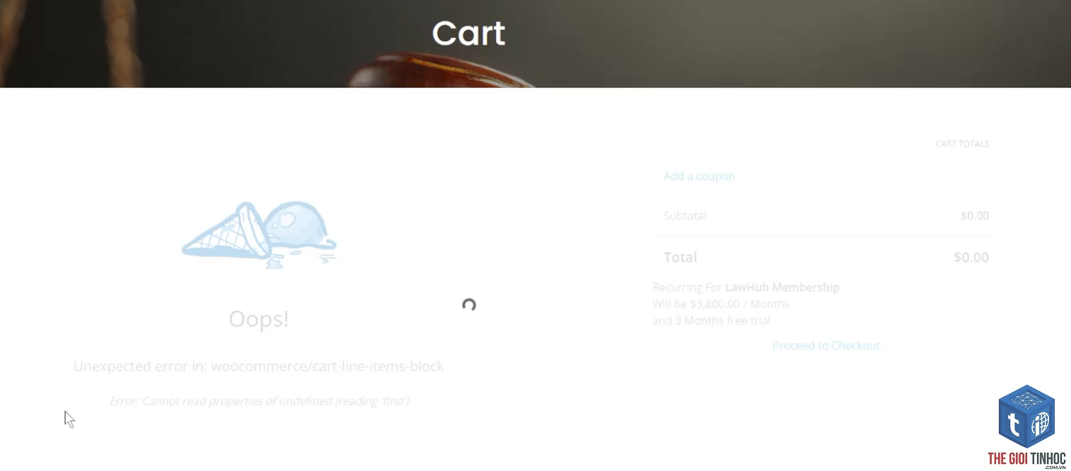 lỗi woocommerce - Hình 5