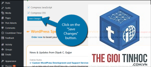 minify css wordpress