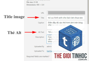 missing alt text là gì