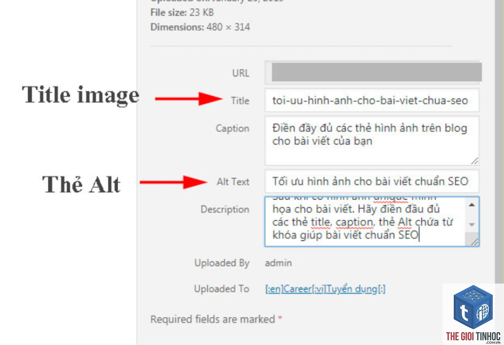 missing alt text là gì - Hình 1