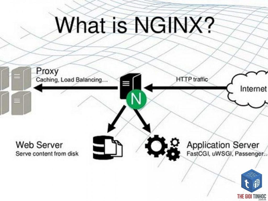nginx wordpress là gì