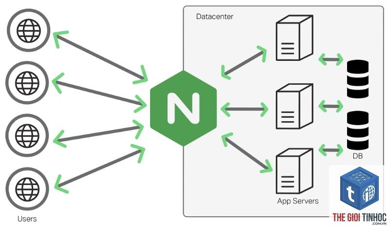 nginx wordpress là gì - Hình 3