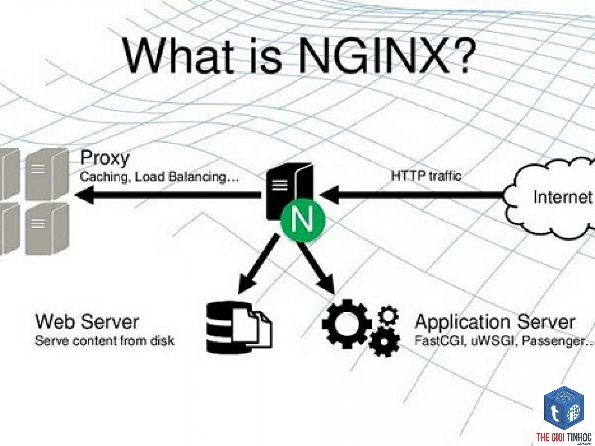 nginx wordpress là gì - Hình 1