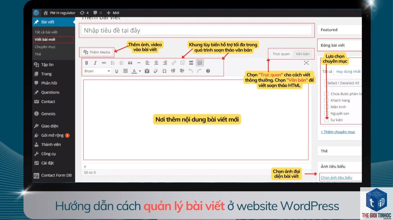 nhập bài viết wordpress - Hình 4