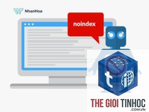 noindex pages là gì