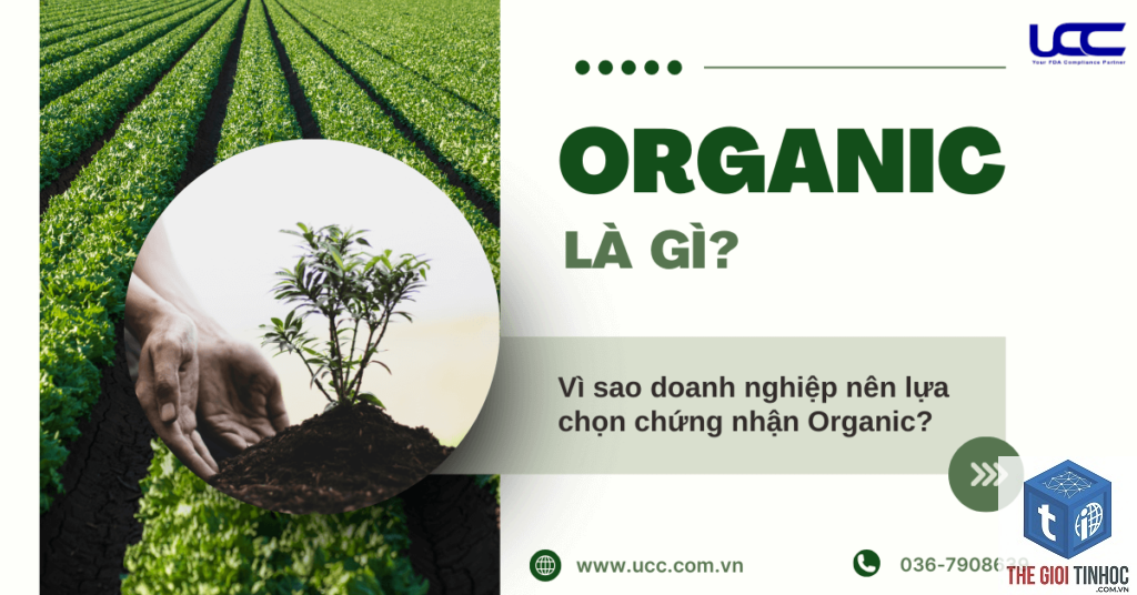 organic conversion là gì - Hình 2