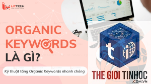 organic keyword là gì