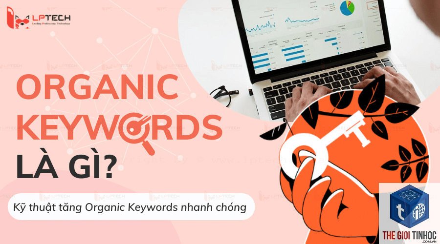 organic keyword là gì