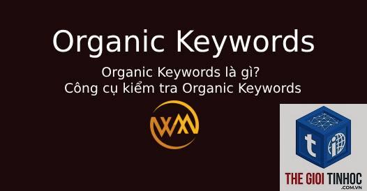 organic keywords report là gì - Hình 2