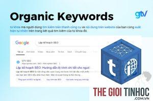 organic keywords report là gì