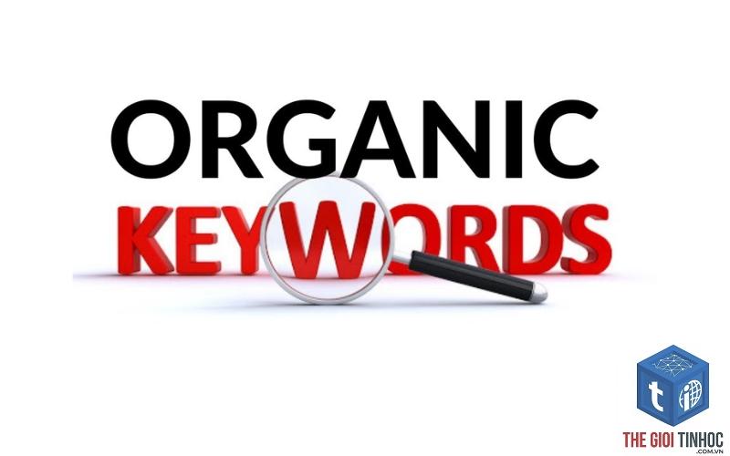 organic keywords report là gì - Hình 5
