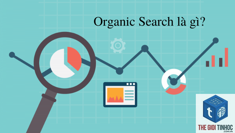 organic search là gì - Hình 2